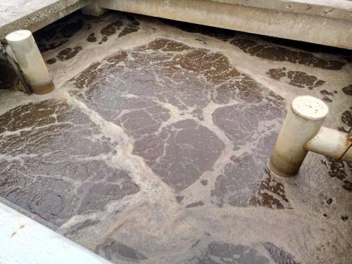 什么是制革廢水？制革廢水特點(diǎn)與處理工藝