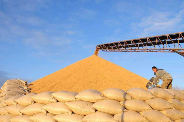 土壤修復(fù)市場(chǎng)，該火了！